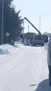 Изъятие скота у фермеров в Новосибирской области: выплачено 40 млн рублей компенсаций