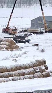 Иллюстрация 2