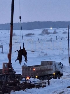 Иллюстрация 5