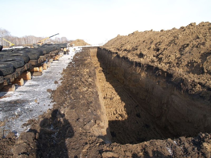 Иллюстрация 6