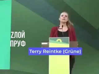 Сатира на цитату депутата Европарламента о «теплоизоляции» Путина