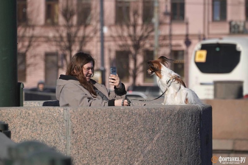 Иллюстрация 4