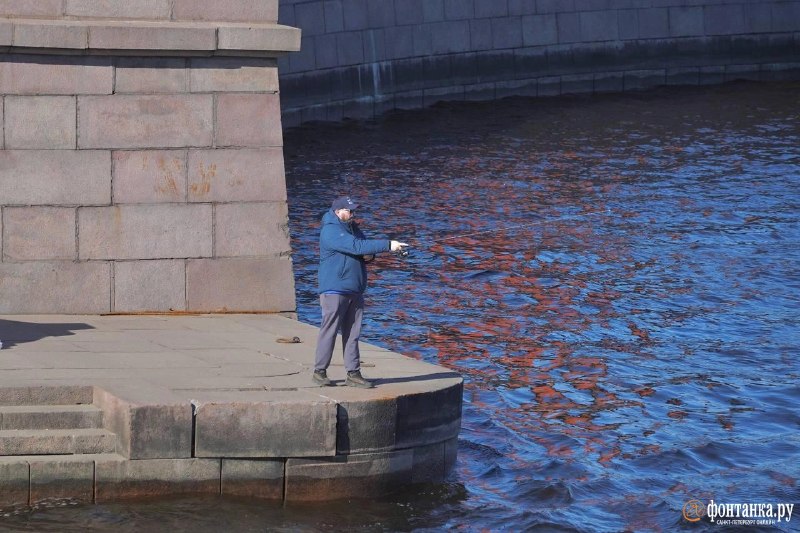 Иллюстрация 7