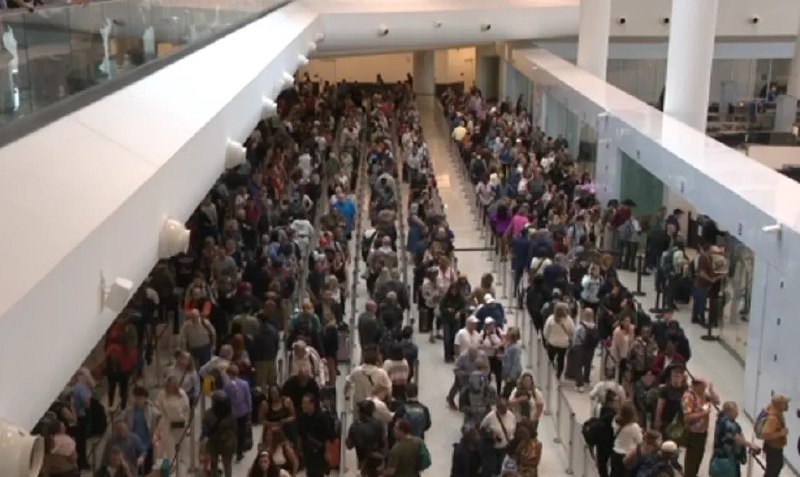 Иллюстрация 3