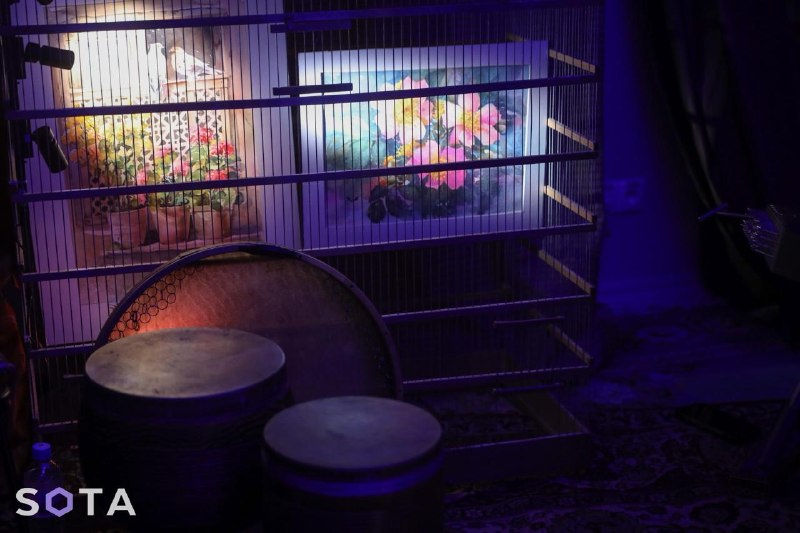 Иллюстрация 7