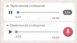 Иллюстрация 1