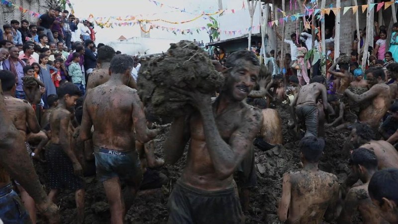 В Индии резко взлетели цены на коровий навоз