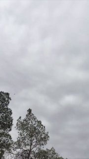 Иллюстрация 2