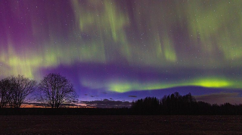 Иллюстрация 5