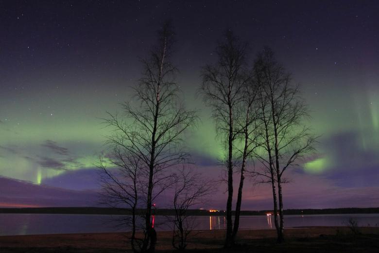 Иллюстрация 1