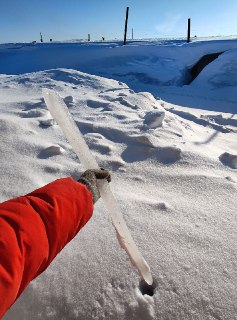 Иллюстрация 2