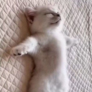 День ВАЛЯНИЯ ДУРАКА отмечается сегодня