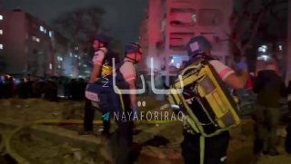 Иллюстрация 7