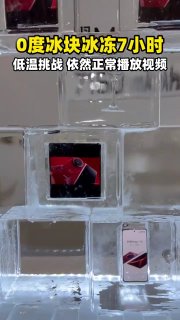 Иллюстрация 1