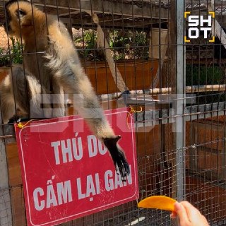 Иллюстрация 3