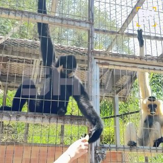 Иллюстрация 1