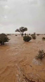 Иллюстрация 2