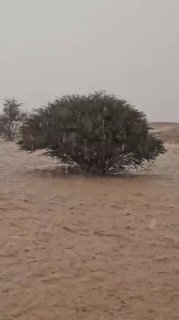 Иллюстрация 4