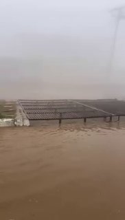 Иллюстрация 5