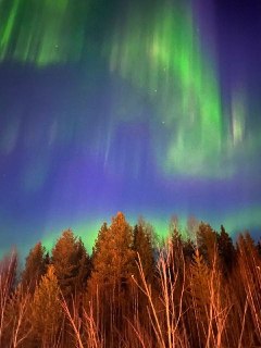 Северное сияние наблюдается в России