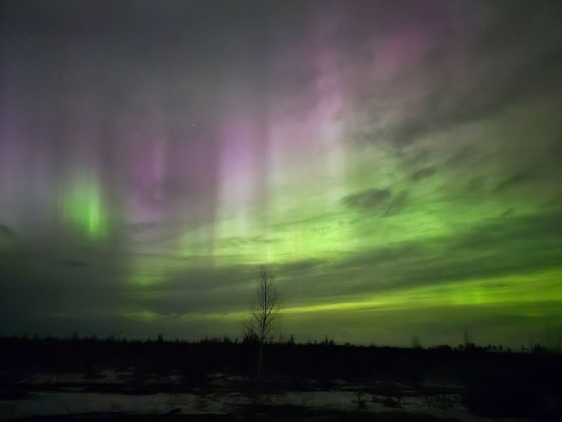 Иллюстрация 4