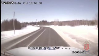 Пьяный бесправник бросил котят на дороге — полицейские спасли пушистиков