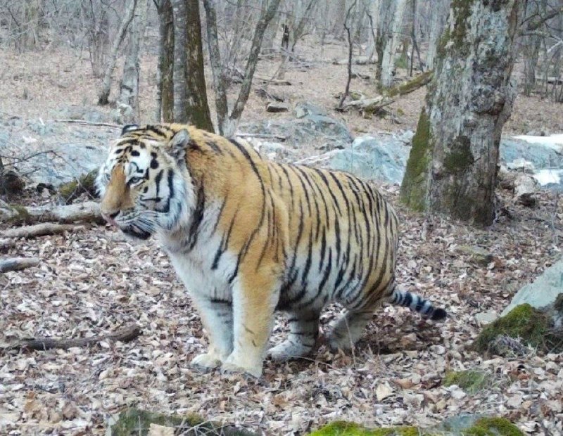 Иллюстрация 2