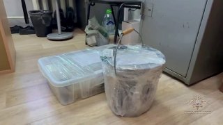 Россия и Беларусь пресекли сбыт 65 тыс. доз метадона