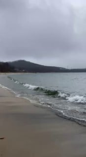Чиновница в Находке написала заявление на журналистку за видео о загрязнении моря