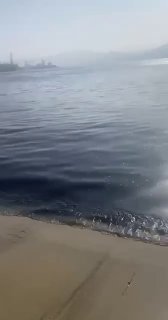 Иллюстрация 3