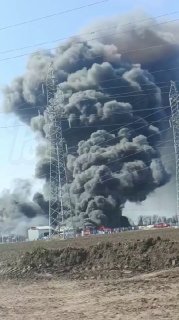 Иллюстрация 2