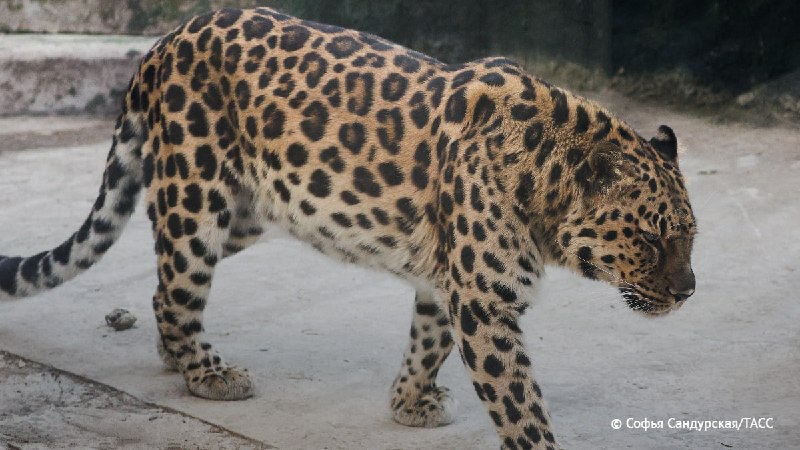 Иллюстрация 3