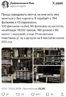 Россиянка собрала огромную коллекцию фильмов и игр на случай отключения интернета