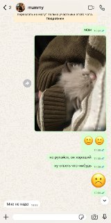 Женщина перекрасила кухню под цвет глаз кота, которого изначально не хотела