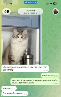 Иллюстрация 2