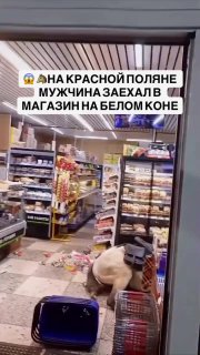 Пьяный мужчина на коне ворвался в магазин в Сочи