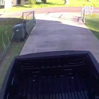 Иллюстрация 1