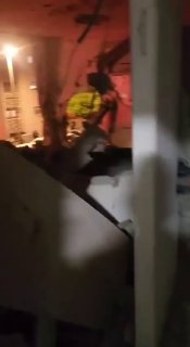 Иллюстрация 3