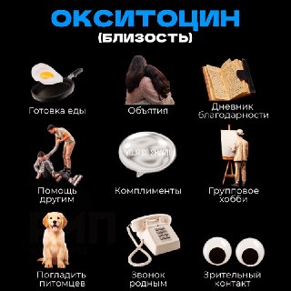 Иллюстрация 1