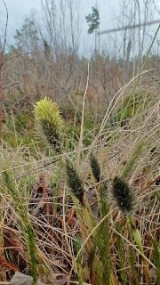 Иллюстрация 2