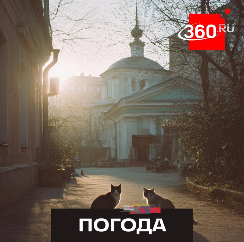 Тёплая погода придёт в Москву на этой неделе