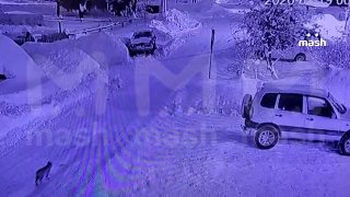 Иллюстрация 2