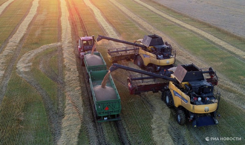 Масштабный продовольственный кризис: конфликт на Ближнем Востоке
