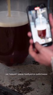Пивной завод на Кавказе ищет работника с зарплатой от 100 тысяч и бонусом в виде пива