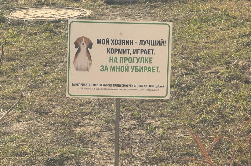 В Петербурге планируют официально выделить зоны для выгула животных