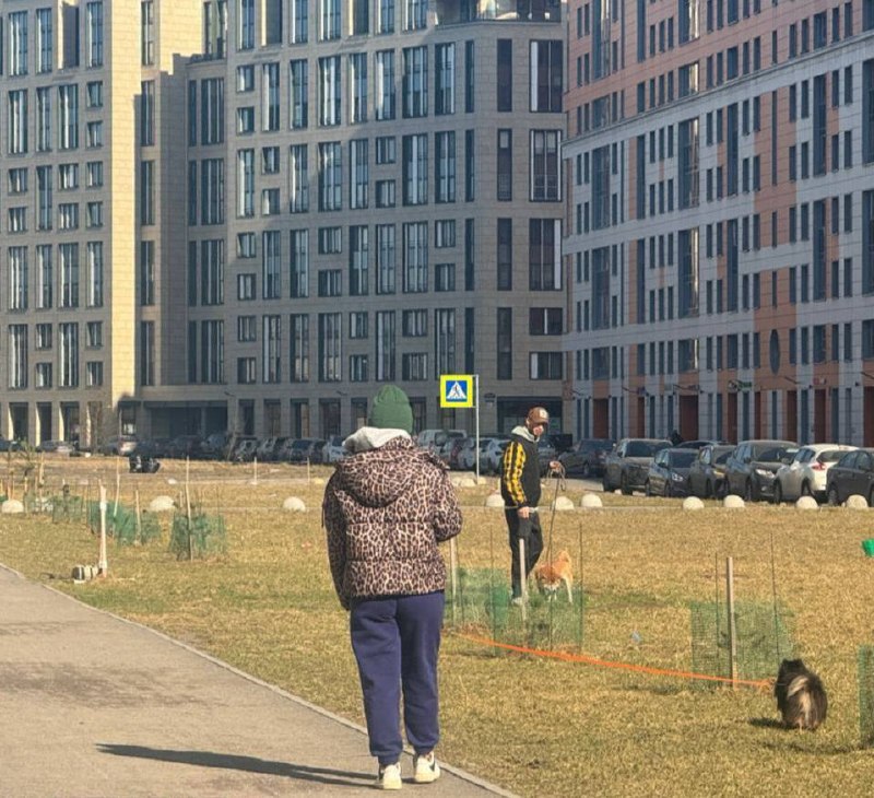 Иллюстрация 2