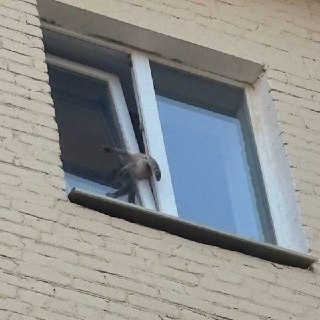 Иллюстрация 2