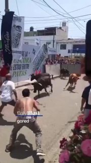 Мужчина чудом выжил после нападения быка на фестивале в Перу