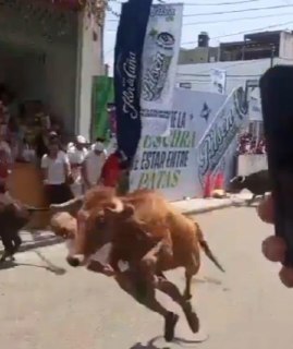 Иллюстрация 3