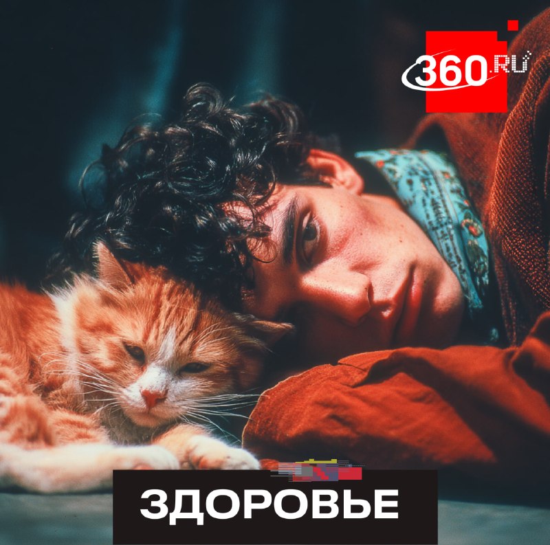 Когда пора сдаваться врачам? Медики объяснили, как понять, что сезонная апатия слишком затянулась